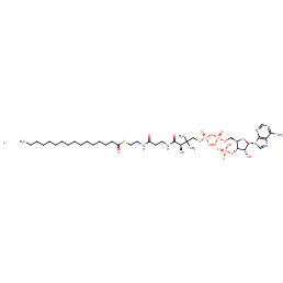 lithium(1+) ion (2R,3S,4R,5R)-5-(6-aminopurin-9-yl)-2-[({[(3R)-3-[(2-{[2-(hexadecanoylsulfanyl)ethyl]carbamoyl}ethyl)carbamoyl]-3-hydroxy-2,2-dimethylpropoxy(hydroxy)phosphoryl]oxy(hydroxy)phosphoryl}oxy)methyl]-4-hydroxyoxolan-3-yl hydrogen phosphate