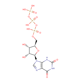 xanthosine 5'-triphosphate