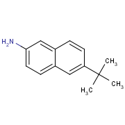 6-(2-methyl-2-propanyl)-2-naphthalenamine