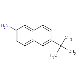 6-(2-methyl-2-propanyl)-2-naphthalenamine