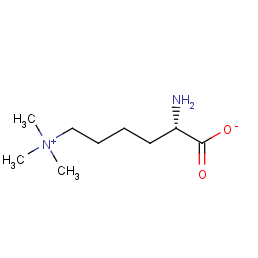 n-trimethyllysine