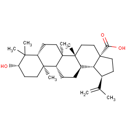 Betulinic Acid