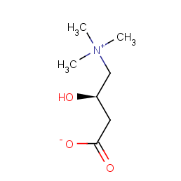 L- Carnitine