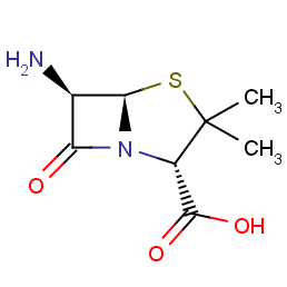 6-aminopenicillanic Acid
