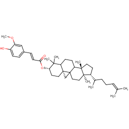 γ-oryzanol