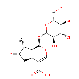 Loganic Acid