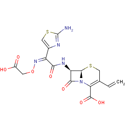 Cefixime