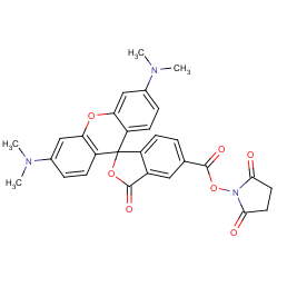 1-({[3',6'-bis(dimethylamino)-3-oxo-3h-spiro[2-benzofuran-1,9'-xa Nthen]-5-yl]carbonyl}oxy)-2,5-pyrrolidinedione