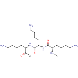 ε-polylysine