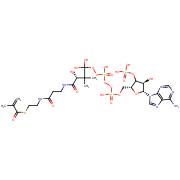 [(2R,3R,4R,5R)-5-(6-aminopurin-9-yl)-4-hydroxy-2-[[hydroxy-[hydroxy-[3-hydroxy-2,2-dimethyl-3-[2-[2-(2-methylprop-2-enoylsulfanyl)ethylcarbamoyl]ethylcarbamoyl]propoxy]phosphoryl]oxy-phosphoryl]oxymethyl]oxolan-3-yl]oxyphosphonic acid
