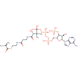 [(2R,3R,4R,5R)-5-(6-aminopurin-9-yl)-4-hydroxy-2-[[hydroxy-[hydroxy-[3-hydroxy-2,2-dimethyl-3-[2-[2-(2-methylprop-2-enoylsulfanyl)ethylcarbamoyl]ethylcarbamoyl]propoxy]phosphoryl]oxy-phosphoryl]oxymethyl]oxolan-3-yl]oxyphosphonic acid