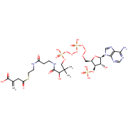 2-[2-[3-[[4-[[[(2R,3R,4R,5R)-5-(6-aminopurin-9-yl)-4-hydroxy-3-phosphonooxy-oxolan-2-yl]methoxy-hydroxy-phosphoryl]oxy-hydroxy-phosphoryl]oxy-2-hydroxy-3,3-dimethyl-butanoyl]amino]propanoylamino]ethylsulfanylcarbonylmethyl]prop-2-enoic acid