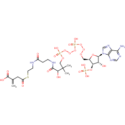 2-[2-[3-[[4-[[[(2R,3R,4R,5R)-5-(6-aminopurin-9-yl)-4-hydroxy-3-phosphonooxy-oxolan-2-yl]methoxy-hydroxy-phosphoryl]oxy-hydroxy-phosphoryl]oxy-2-hydroxy-3,3-dimethyl-butanoyl]amino]propanoylamino]ethylsulfanylcarbonylmethyl]prop-2-enoic acid